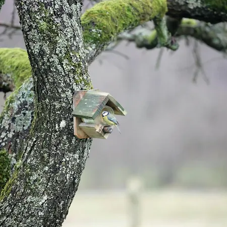 La Croix Bala Signy-le-Petit