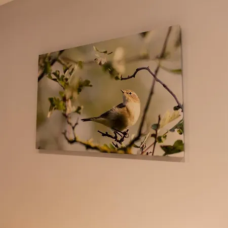 Tatil Evi La Croix Bala