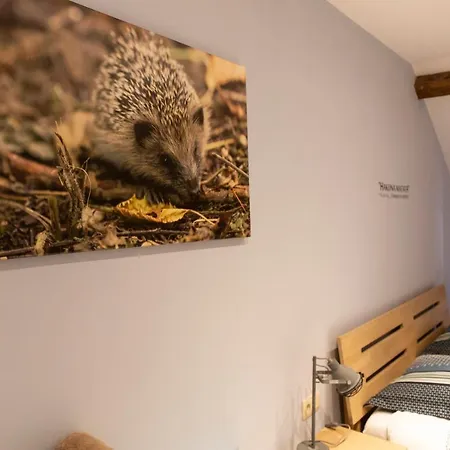 La Croix Bala Feriehus Signy-le-Petit