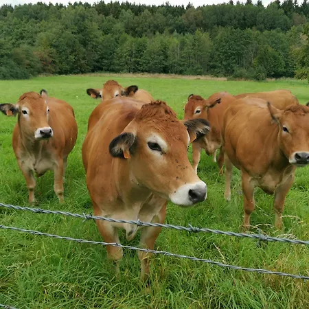La Croix Bala Tatil Evi Signy-le-Petit